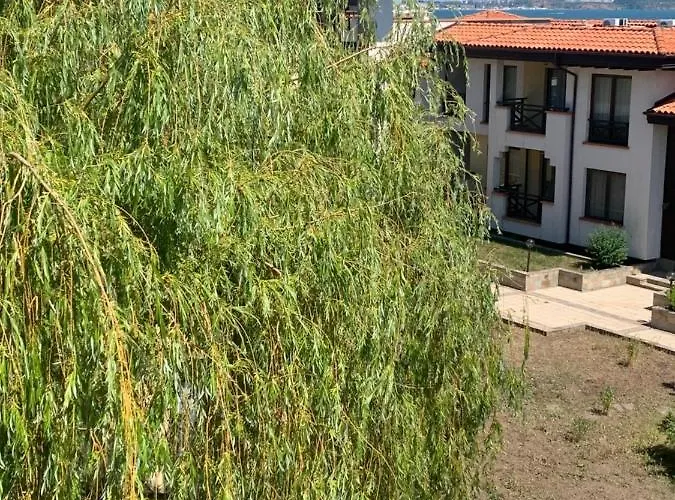 At St. Nicholas Complex-igora Daire